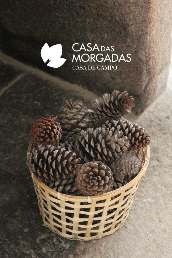 Casa Das Morgadas Nelas Extérieur photo